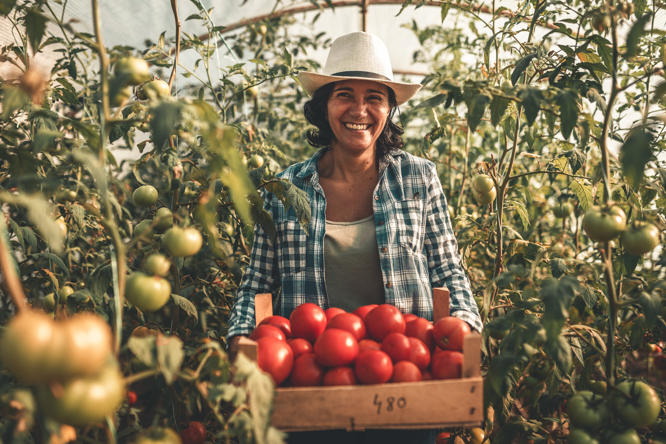 farmers