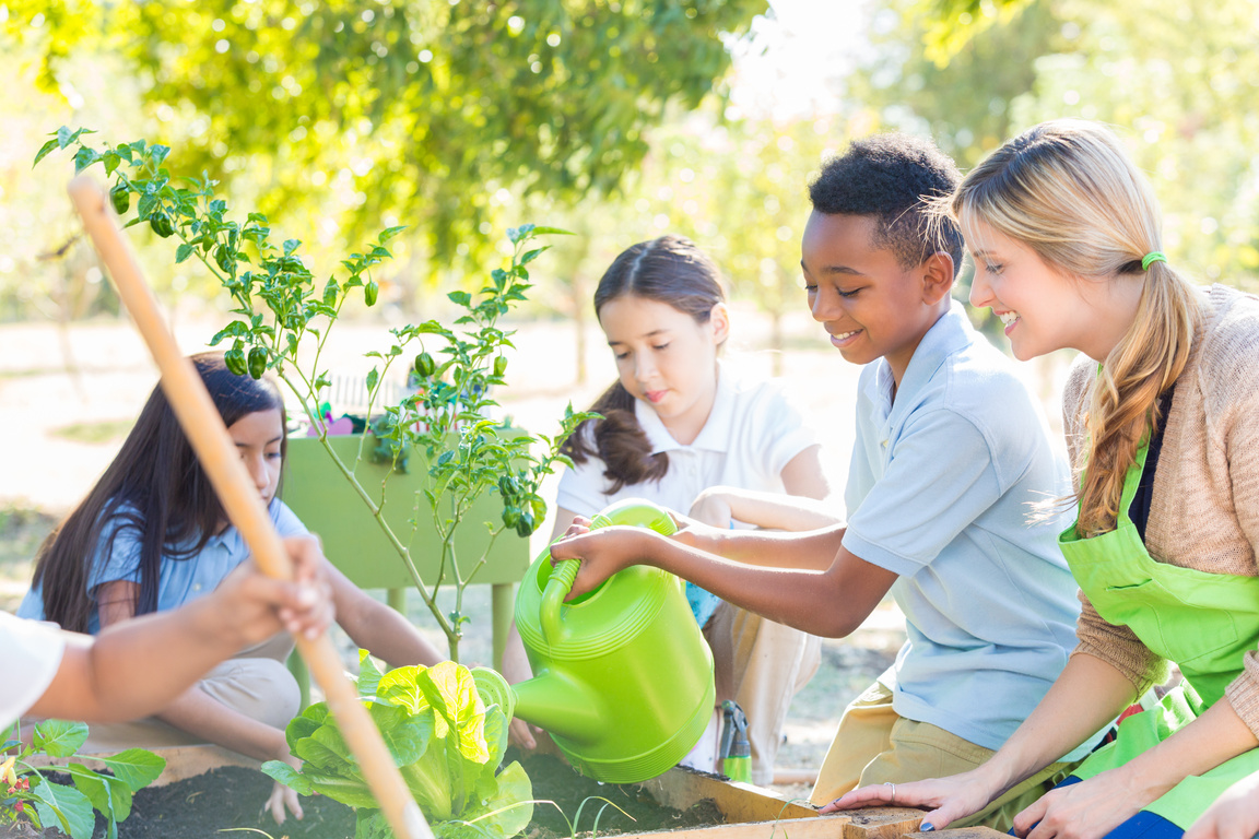 Elementary students planting vegetables in school garden for science class